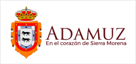 AYTO ADAMUZ 